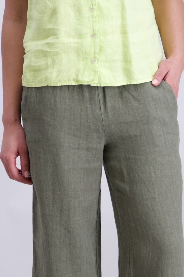  15 kaki