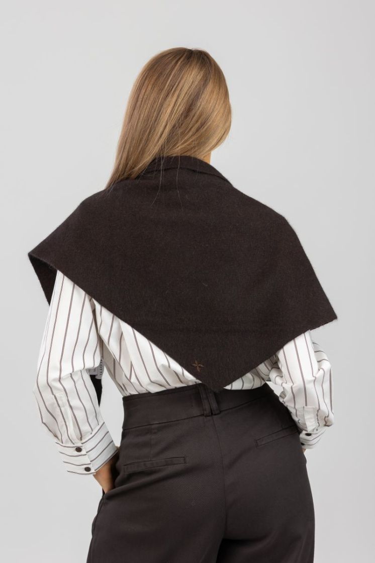 101 brown strip
