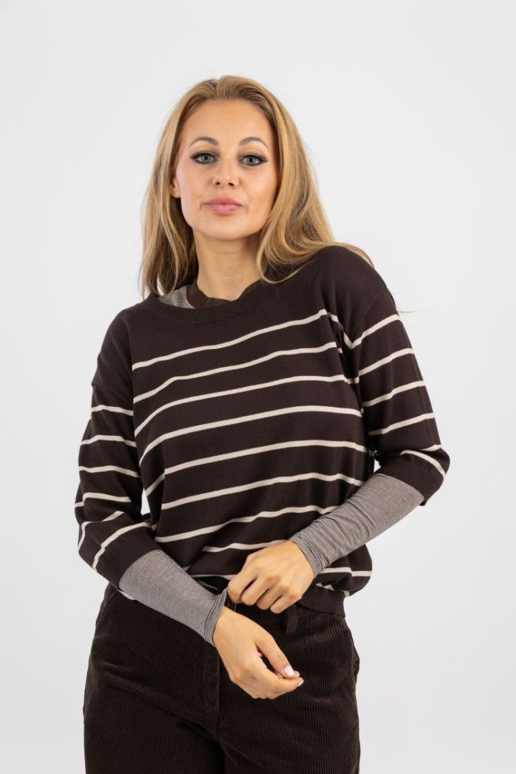  brown stripe